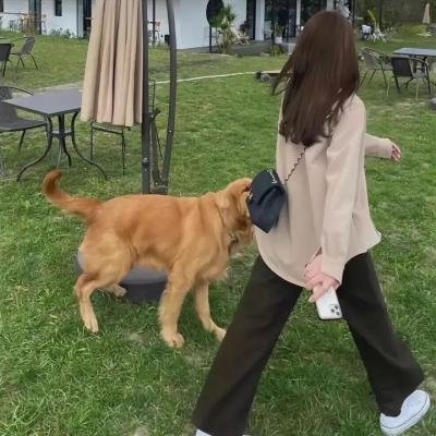 荒原上的青春